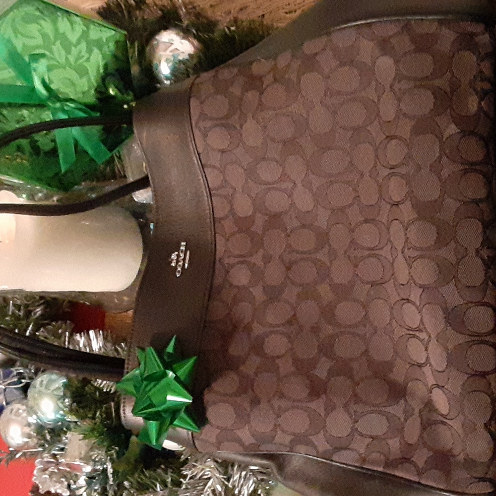 Ladies Coach bag